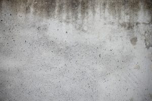 Mold