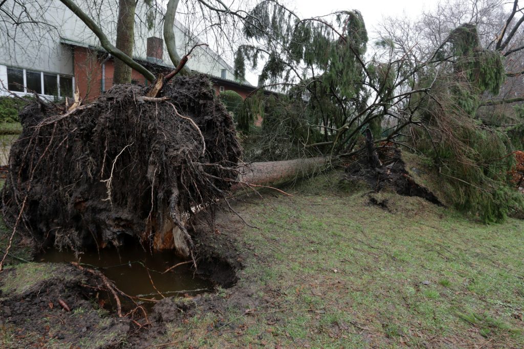 Storm Response