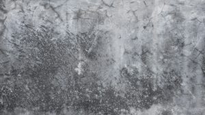 Mold