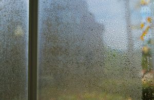 Indoor Moisture