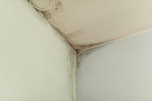 Leaky Roof