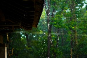 Rain Damage