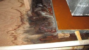 summer water damage restoration