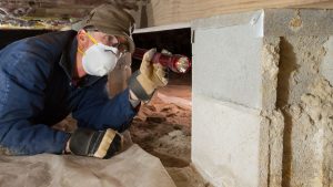 Hidden Mold in Crawl Spaces
