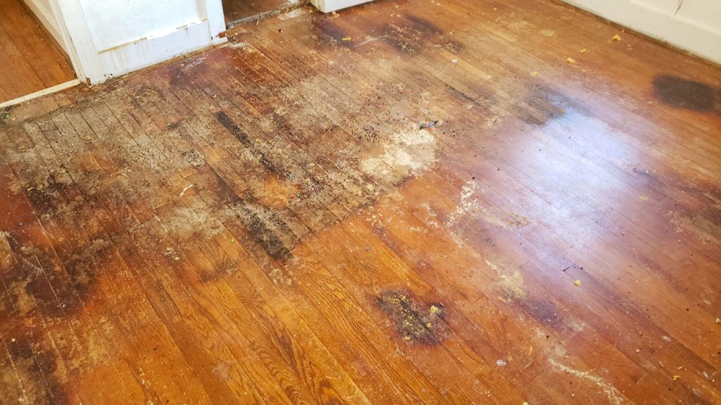 Hidden Water Damage