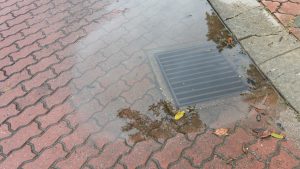 Sewage Backup After Heavy Rain