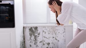 mold remediation Wichita ks