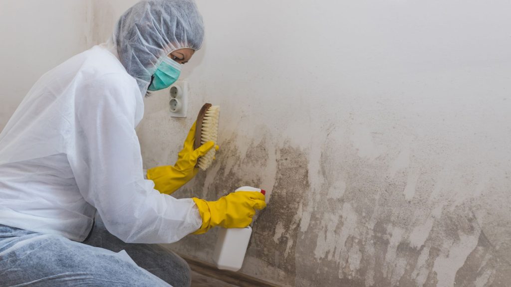post remediation mold testing hutchinson ks