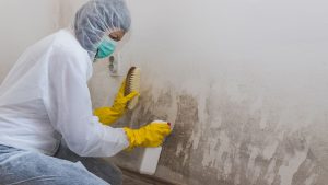 post remediation mold testing hutchinson ks